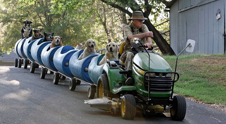 Este vovô construiu um trenzinho para levar os cães que salvou das ruas para passear