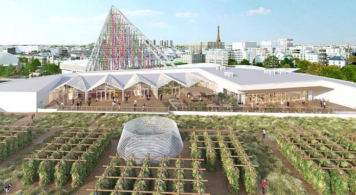 L'orto sui tetti più grande del mondo sorgerà a Parigi: fornirà una tonnellata di cibo al giorno