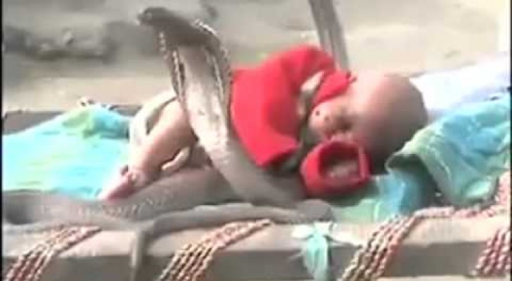 L'image surréelle de 4 cobras qui surveillent un enfant qui dort