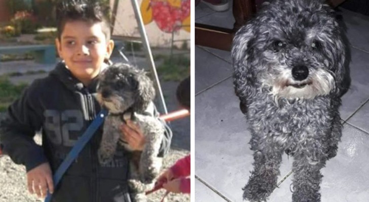Dieses autistische Kind bietet sein Fahrrad als Belohnung dafür an, dass Tito, sein geliebter kleiner Hund gefunden wird
