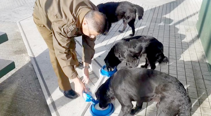Este gentil policía transcurre parte de su tiempo libre regalando comida y cuidados a los perros callejeros