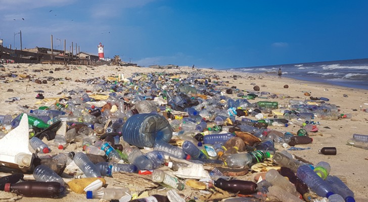 Vervuiling is aanwezig in oceanische afzettingen: we zijn het Plastic Tijdperk ingegaan