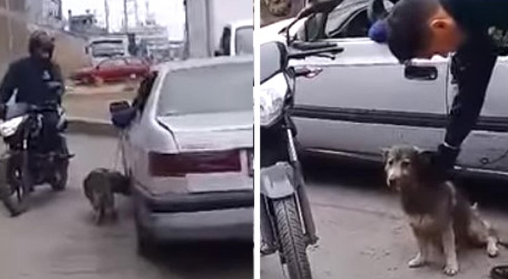 Lega il cane all'auto e lo trascina per "punizione", ma i passanti intervengono e glielo strappano di mano