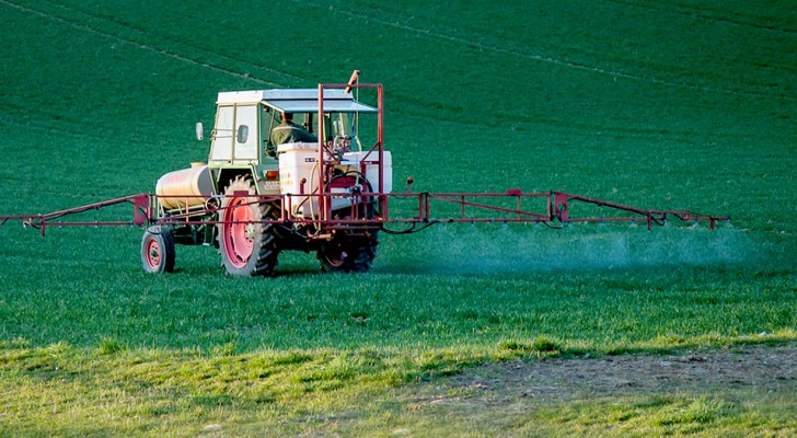 Le glyphosate utilisé dans les pesticides ne serait pas cancérigène : l'Union européenne l'a décrété