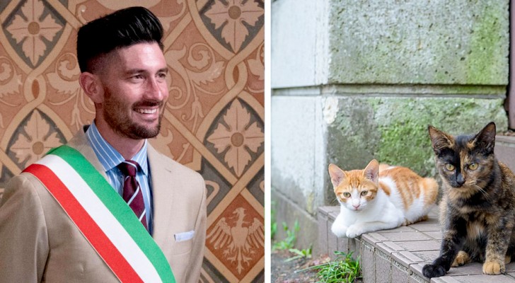 Questo sindaco romagnolo ha ospitato in casa propria 20 gatti randagi per prendersi cura di loro