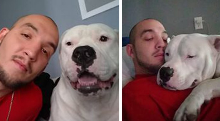 His dog needs surgery, so the owner puts his car up for sale