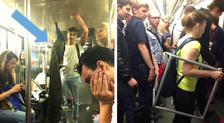 Eigenaardigheden op het spoor: 18 foto's van extravagante situaties in de metro