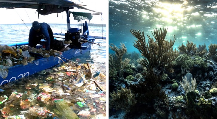 Questi 2 surfisti ripuliscono gli oceani dalla plastica: in poco tempo hanno raccolto 3 milioni di kg di rifiuti