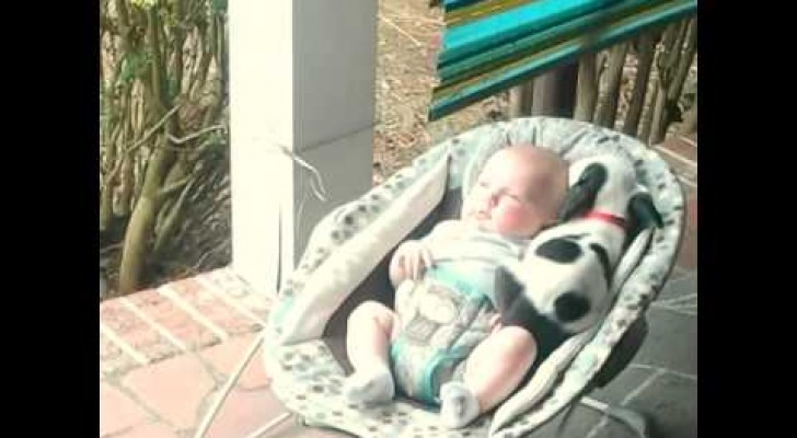 Ein Welpe und ein Baby teilen sich den Babysitz