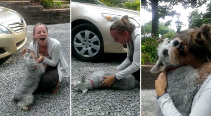 Lei torna a casa dopo due anni e il suo cane perde i sensi per la gioia