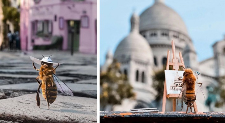 Die erste "influencer" Biene kommt und veröffentlicht Fotos, um das Bewusstsein für das unaufhaltsame Verschwinden ihrer Art zu schärfen