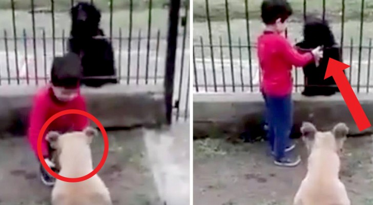 Dieser 6-jährige Junge füttert seinen eigenen Hund und einen streunenden Hund außerhalb des Hauses aus derselben Schüssel