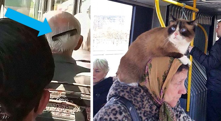 Seltsame Reisen mit öffentlichen Verkehrsmitteln: 15 lustige Fotos von originellen Typen in Straßenbahnen, U-Bahnen und Bussen