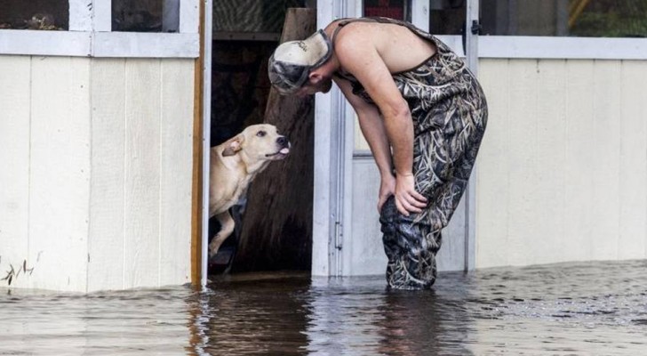 A man saves a dog abandoned during a disastrous flood and a special friendship was born 