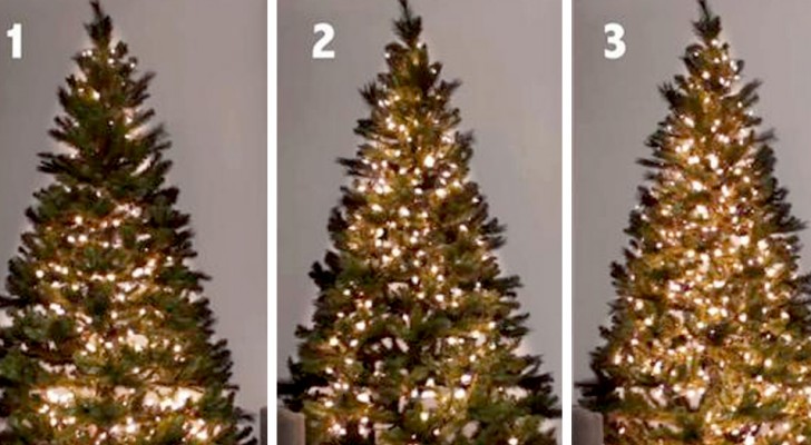 I 3 metodi migliori per mettere correttamente le luci sull'albero di Natale