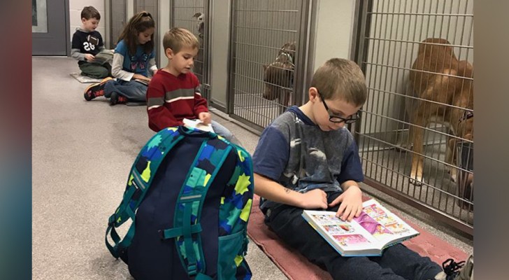 As crianças leem em voz alta para os cães e gatos do refúgio para criar um ambiente calmo e relaxado