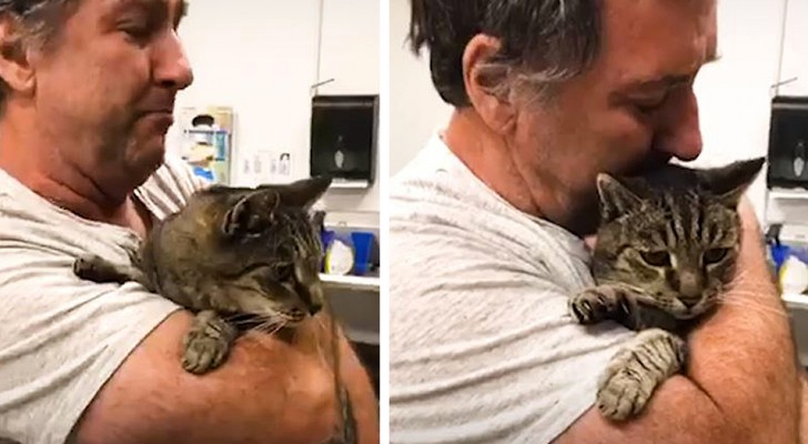 Quest'uomo si riunisce col suo gatto dopo 7 anni: pensava di averlo perso per sempre