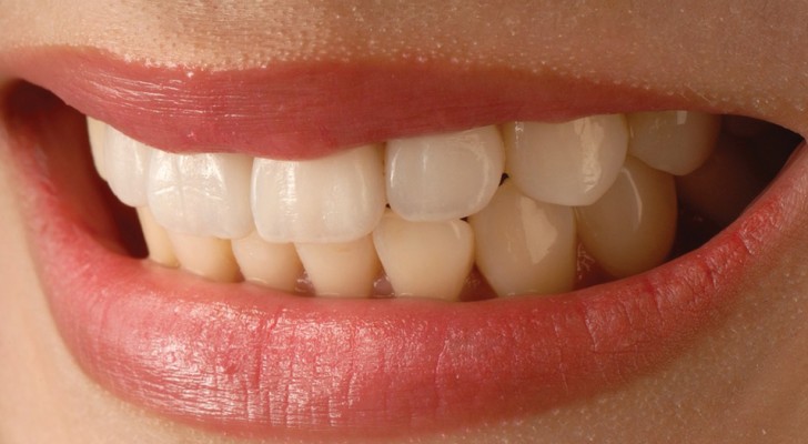 I ricercatori potrebbero sviluppare un modo per far ricrescere i denti in soli 2 mesi grazie alle cellule staminali