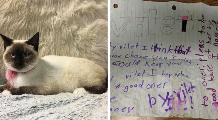 A little girl can no longer keep her kitten and leaves a note to those who adopt it "to take care of her"