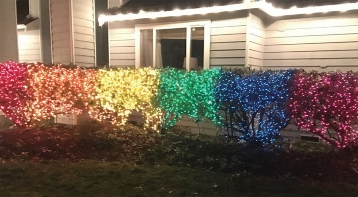 Een vrouw creëerde de LGBTQ-vlag met 10.000 kerstlampjes om haar homofobe buurman een bericht te sturen