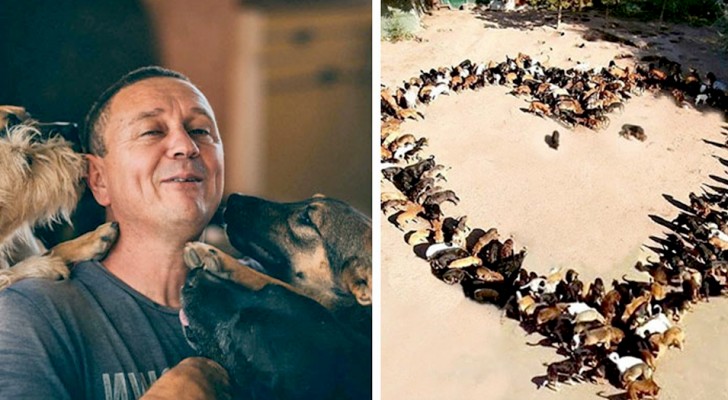 This generous man has saved over 1000 stray dogs from death by giving them refuge in his animal shelter