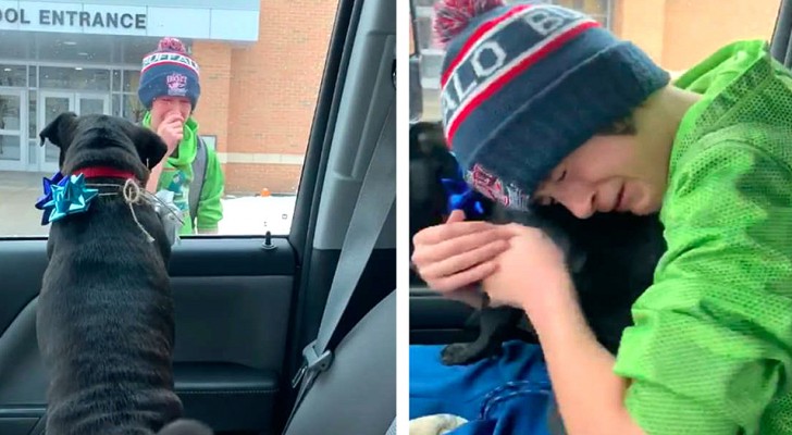 Mamman överraskar sin son på väg ut från skolan med hans hund som hade tappats bort två veckor tidigare