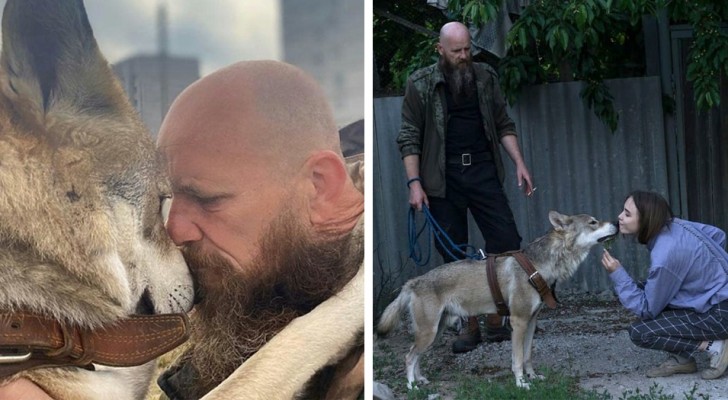 This man saved a male wolf pup and raised it as a pet