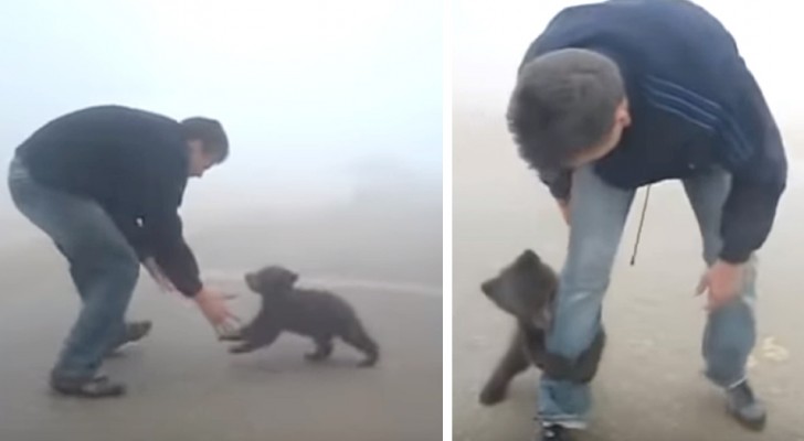 Un cachorro de oso no deja de abrazar al hombre que lo ha salvado de un incendio