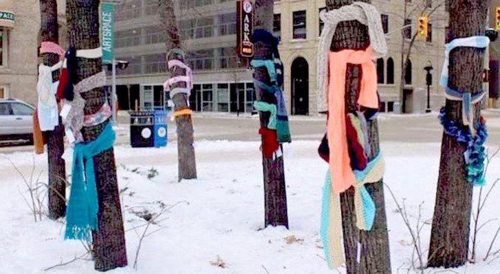 Diese Freiwilligen binden alte Schals an Bäume, damit die Obdachlosen warm bleiben können