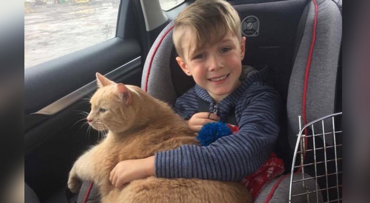 A mother allows her son to adopt a puppy but he chooses a large, older, and overweight cat