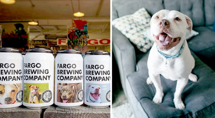 Quest'azienda di birra ha messo le foto di alcuni cani sulle proprie lattine per aiutarli a trovare una nuova casa