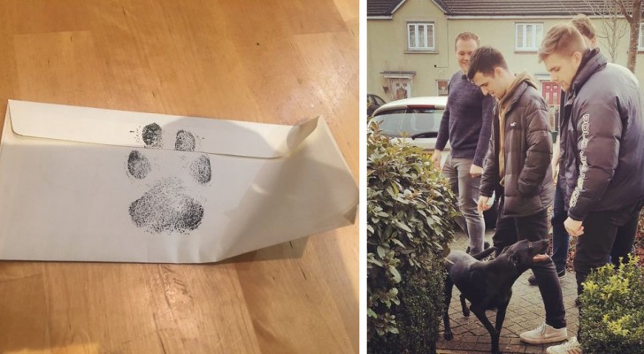 The owner does not allow pets in the house, so these four young men ask their neighbor to let them play with his dog