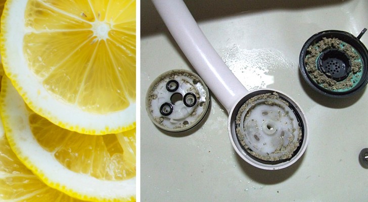 5 utilizzi poco conosciuti del limone, alleato prezioso e profumato per pulire e sgrassare