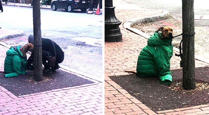 Stopped from entering the post office with her dog, she covers it with her jacket to protect it from the cold