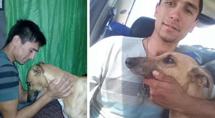 Roubam o seu cachorro e ele oferece o seu carro como recompensa a quem trouxer seu amiguinho de volta