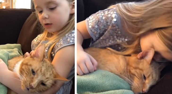 En este conmovedor video, una niña de 4 años canta una dulcísima canción a su gato muriendo