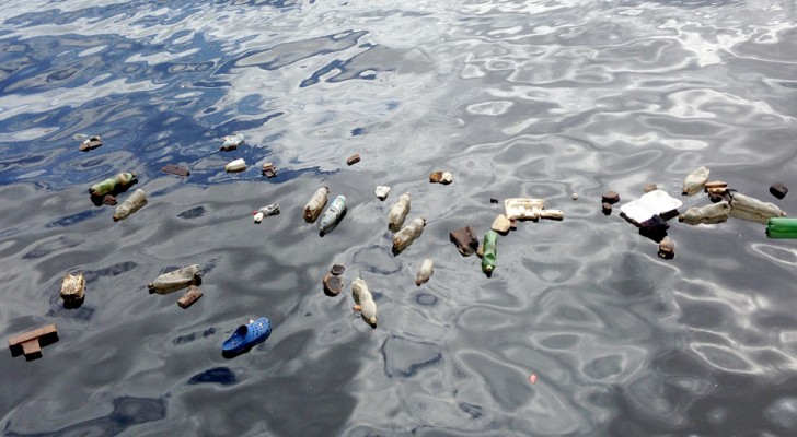 Das Mittelmeer ist das am stärksten verschmutzte Meer Europas mit mehr als 200 Abfällen pro Quadratkilometer: eine Studie zeigt dies 