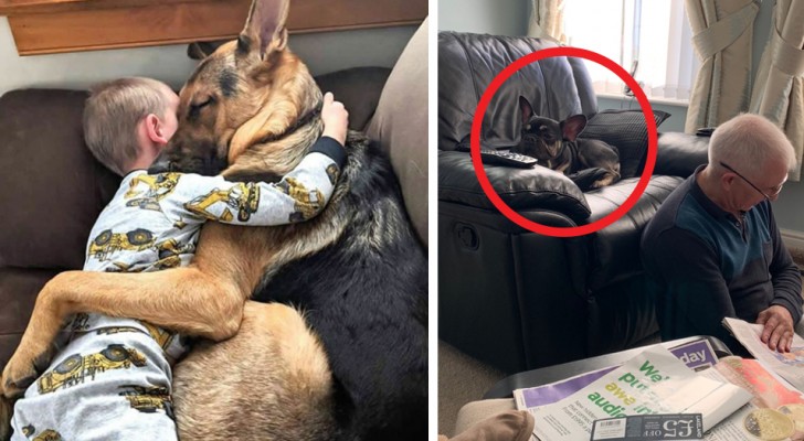 These 14 photos give us an idea of ​​how great is the love that forms the bond between humans and their pets