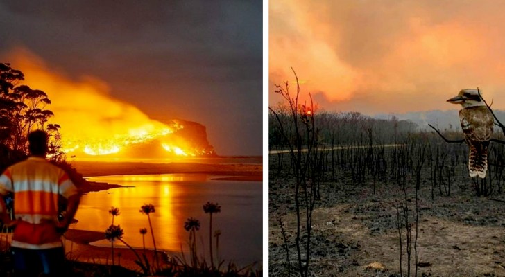 Diese Aufnahmen aus Australien konfrontieren uns mit all den schrecklichen Verwüstungen, die die Brände verursacht haben