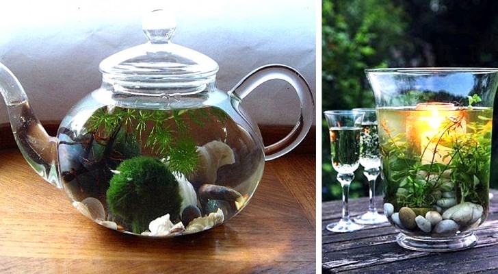 18 incantevoli decorazioni acquatiche che ricreano "mondi sommersi" nei bicchieri e nei vasi di vetro