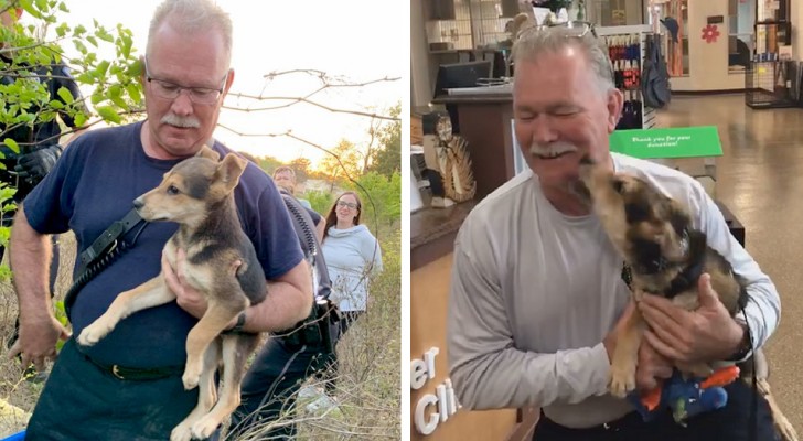 This kind and generous firefighter rescues a trapped puppy dog and immediately decides to adopt it