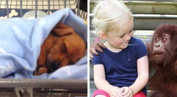  These 14 photos illustrate that the best things in life are the simplest