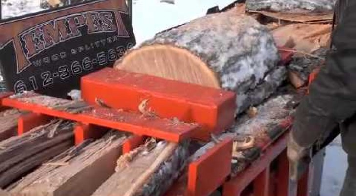 La maquina que corta los troncos como si fueran grisines
