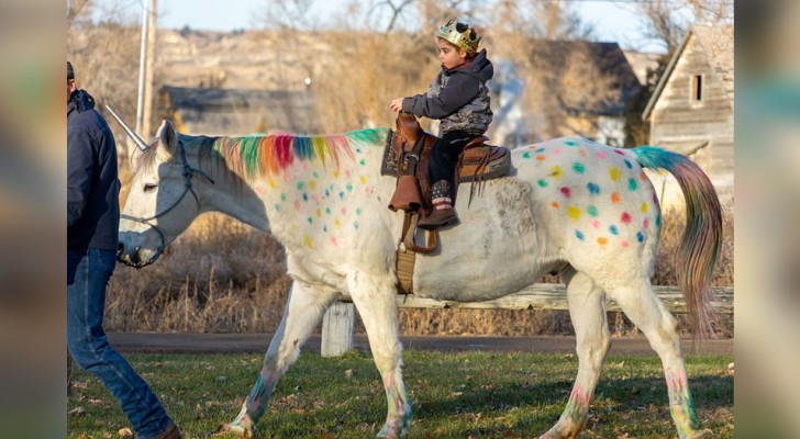 A 5-year-old boy with brain cancer had a dream of riding a unicorn that came true