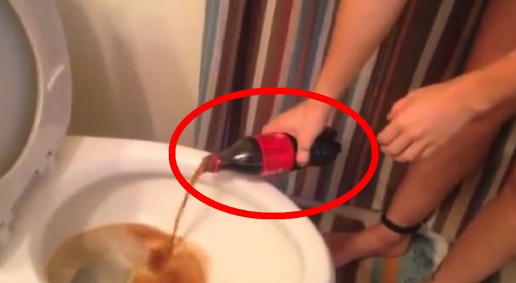 This girl puts half a liter of coca cola in the toilet...What happens next will leave you speechless!