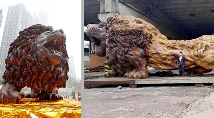 Ein Junge und seine 20 Assistenten schnitzten einen riesigen Löwen aus einem einzigen Rotholzbaum