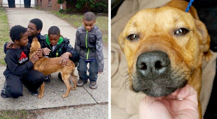 These four young boys rescued a tied-up dog abandoned in front of an uninhabited house