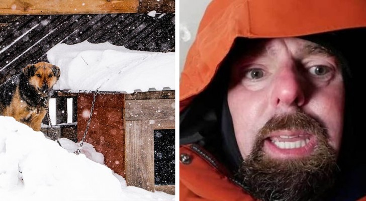 This vet wanted to spend the night in a doghouse to show how much dogs suffer during the cold winter season