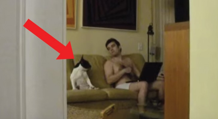 Miren que cosa descubre esta mujer filmando a escondidas a su marido y su perro