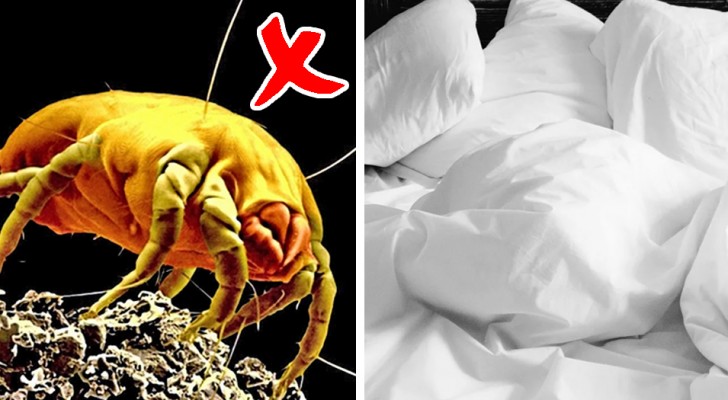 Bettlaken können ein Nährboden für Bakterien sein: Sie zu wechseln hilft oft, Gesundheitsprobleme zu vermeiden